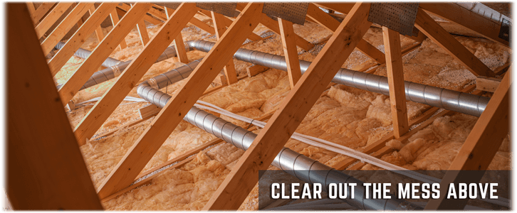 Attic Cleaning West Palm Beach