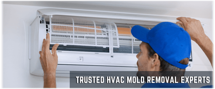 HVAC Mold Removal West Palm Beach